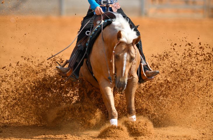 A cowboy riding a horse at a Texas rodeo.