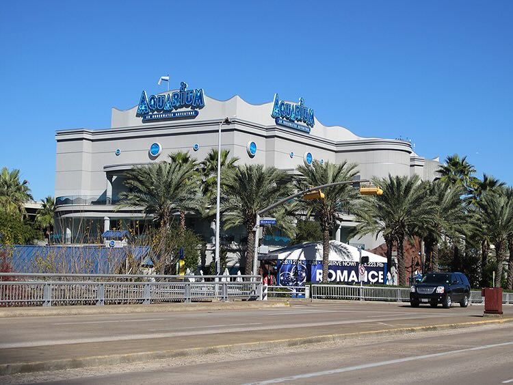the front entrance of the downtown aquarium in houston